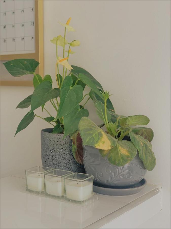 Buritaca House旅馆 外观 照片